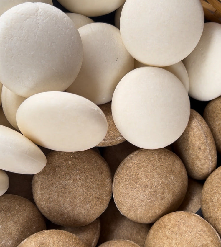 Shampoo & Conditioner Bars